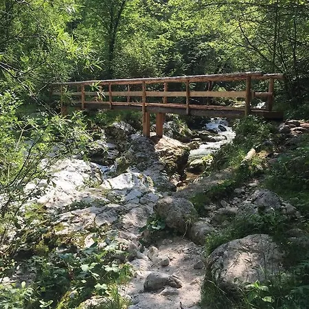 Pensión House With A View - Lepena Valley