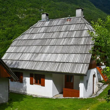 Guest house House With A View - Lepena Valley